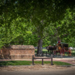 Northgate Resorts Expands Portfolio with Five New Parks, Including Acquisition of Williamsburg Campground